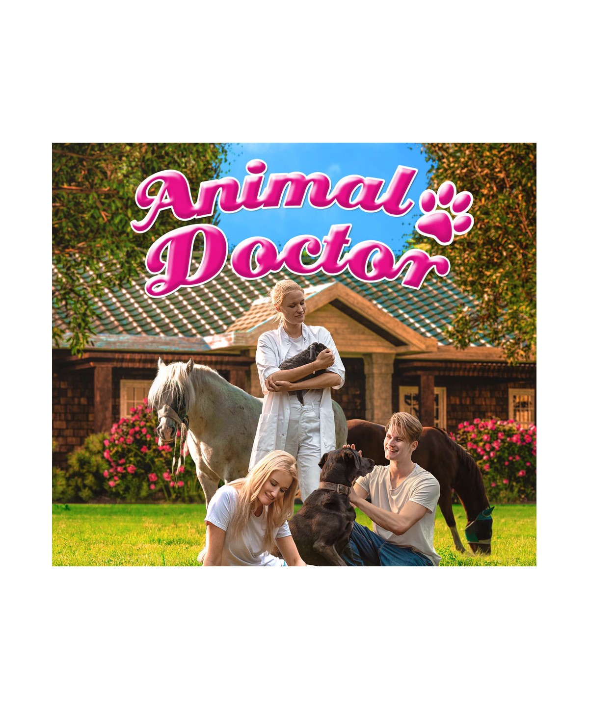 Animal Doctor Steam Key EUROPE